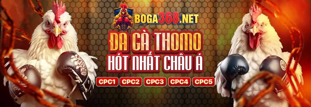 Sân đấu đá gà trực tuyến 8swin