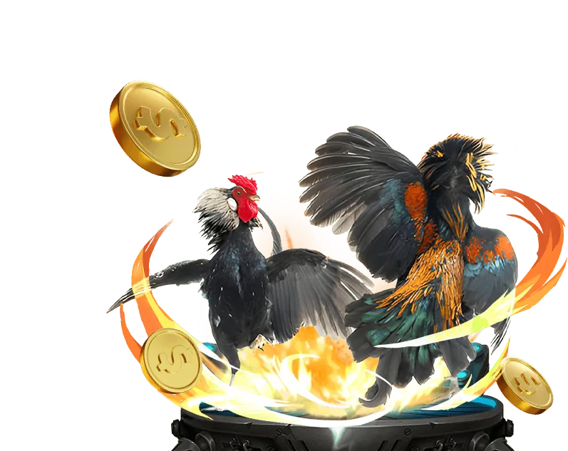 Trận đấu đá gà trực tiếp kịch tính tại 8swin